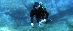 Scuba diver in black wet suit under water.
