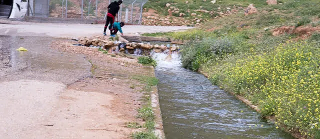 Stream of water running along side a dirt road.