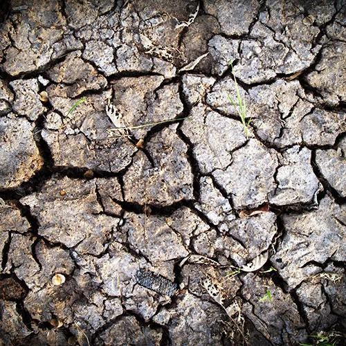 Dry cracking earth