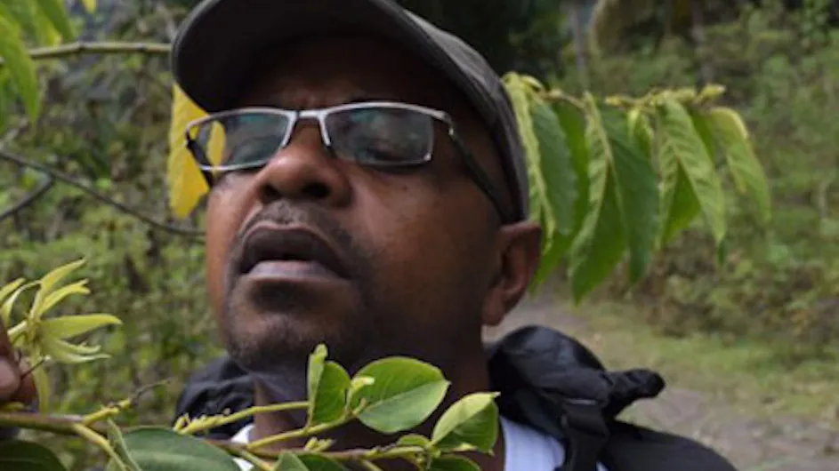 Man with glasses, wearing a hat, surrounded by green leaves.